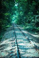 The beautiful railway in the forest photo