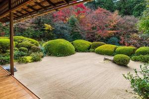 Beautiful nature colourful tree leaves in Japanese zen garden in autumn season at Kyoto,Japan. photo