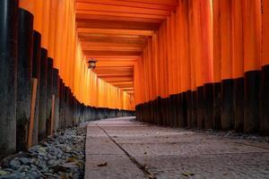 The red torii gates walkway path at fushimi inari taisha shrine the one of attraction  landmarks for tourist in Kyoto, Japan. photo