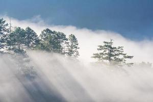 Increíble niebla moviéndose sobre las montañas de la naturaleza durante el amanecer en el área de las montañas en Tailandia. foto