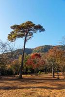 hermosa naturaleza en arashiyama en la temporada de otoño en kyoto, japón. arashiyama es un hito de atracción para turistas en kyoto. foto