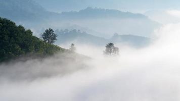 Panorama view of amazing mist moving over the nature mountains during sunrise at mountains area in Thailand.