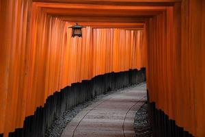 The red torii gates walkway path at fushimi inari taisha shrine the one of attraction  landmarks for tourist in Kyoto, Japan photo
