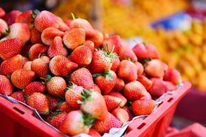 Montón de fresas maduras en la canasta para la venta en el mercado de frutas - Fondo de fresas frescas cosechadas