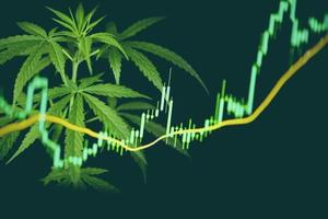 marihuana comercial hojas de cannabis con gráficos de acciones en la bolsa de valores o análisis comercial inversión - concepto de valor más alto de dinero de medicina de cannabis comercial foto
