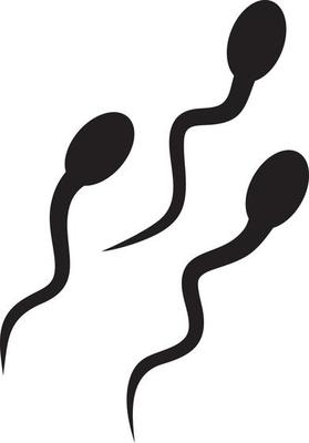 Sperm Vector Art & Graphics 