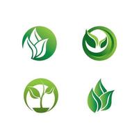 logotipos de la ecología de la hoja del árbol verde vector