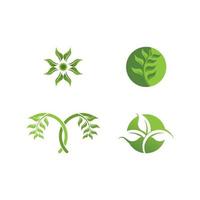 logotipos de la ecología de la hoja del árbol verde vector