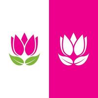 Beauty Vector lotus flowers