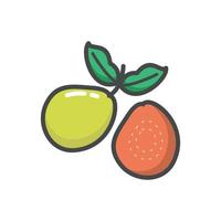 guava vector on white background