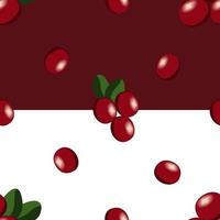 cranberry repeat pattern, Fruity repeat pattern vector illustration created with cranberry fruit with two background options.
