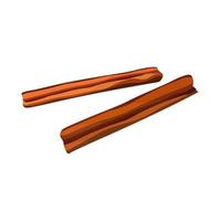 Vector two cinnamon sticks