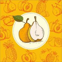 Pear. Fruit. Vector illustration. The fruit is hand-drawn. Hand drawn vector illustration.