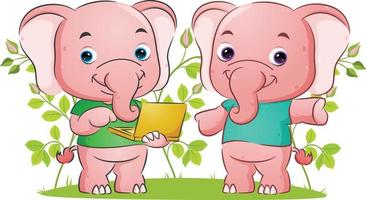 The couple elephant is explaining and holding the portable laptop in the garden vector