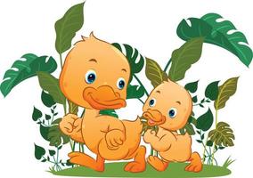 The cute of the sibling duck are taking around together in the farm vector