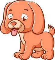 Little cute dog with the orange color is playing and pull his tongue out because of tired vector