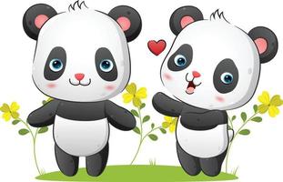 The couple of panda is trying to catch the love and standing together in the park