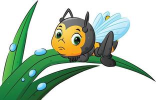 The sad bee is lie down her body on the leaf with the water drop ornament vector