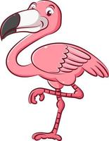 The enamor flamingo with the pink color and she has a long legs vector