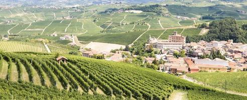 paisaje panorámico en la región de piamonte, italia. pintoresca colina de viñedos con el famoso castillo de Barolo. foto