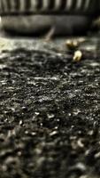 Blurred dramatic effect of dirt floor and dry leaves photo