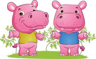 The couple of the sweet hippopotamus is dancing with the different posing in the garden vector