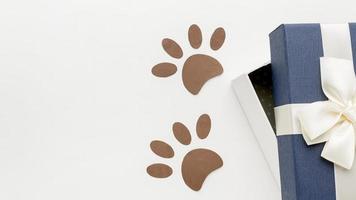top view paw prints with gift animal day photo