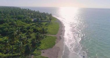 Beach Sea drone video