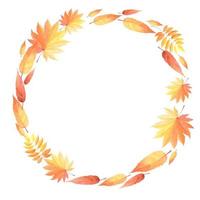 abstract orange and yellow leaf circle leaves beautiful floral pattern on white. photo