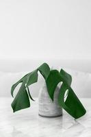 hojas verdes estilos minimalistas hojas de palmera verde tropical sobre fondo brillante surrealismo minimalista negro. foto