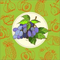 Grapes, blue grapes. The grape juice. Fruit. Vector illustration. The fruit is handdrawn. Hand drawn vector illustration.