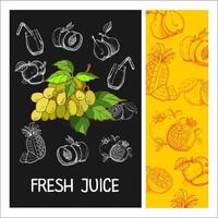 Grape juice. Fruit. Vector illustration. Fruit drawn in chalk on a black Board. Hand drawn vector illustration.