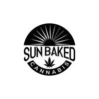 Cannabis Pot Hemp Leaf with natural sun for CBD or Cultivation logo design vector