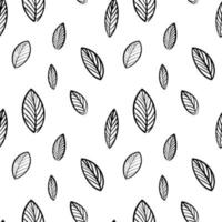 Black and white botanical seamless pattern. vector
