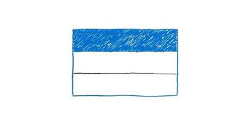 marcador da bandeira da estônia ou desenho animado a lápis video