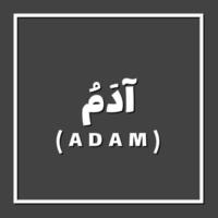 Adán - nombres de los profetas en el vector del islam