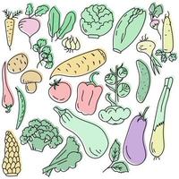 un conjunto de garabatos de verduras de tonos delicados, varios tipos de repollo y otras verduras y hierbas útiles para cocinar platos, dibujo a mano vector