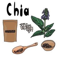Superfood Chia set, seeds in a spoon, in a bowl, in a package, flowering plant Salvia hispanica, healthy popular food with antioxidants vector