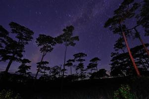 Beautiful night sky full of stars natural background photo