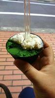 ice cream green and vanilla cream flavor frozen dessert pattern in black cup hand holding on wood. photo