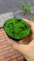 helado sabor verde patrón de postre congelado en taza negra mano sujetando la madera. foto