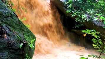 cascade wang sao thong dans la forêt tropicale humide de koh samui en thaïlande. video