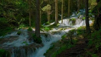 Kaskaden auf dem Bergfluss umgeben von Bäumen video