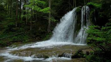 waterval in het bos. video