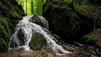 Waterfall in the forest. video