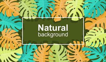 background with green leaves and square frame vector