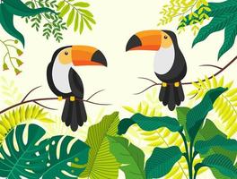 toucan birds on tropical branches with leaves. vector