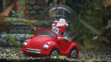 Aquarium mit Weihnachtsmann video