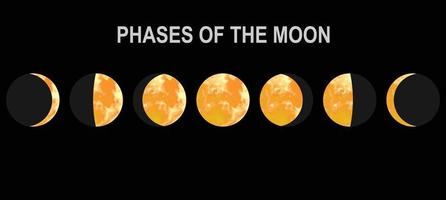 Movements of the Moon Phases Realistic Vector Illustration