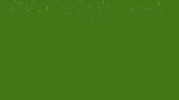 vallende sneeuw animatie. groene achtergrond. geschikt voor uw kerstvideo's. sneeuwvlokken van verschillende soorten. ga langzaam naar beneden en draai. video